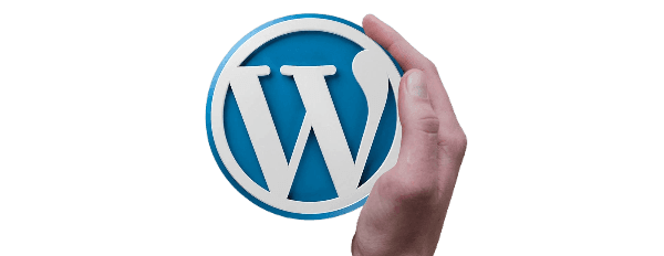 wordpress website